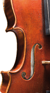Où trouver l’étiquette dans un violon